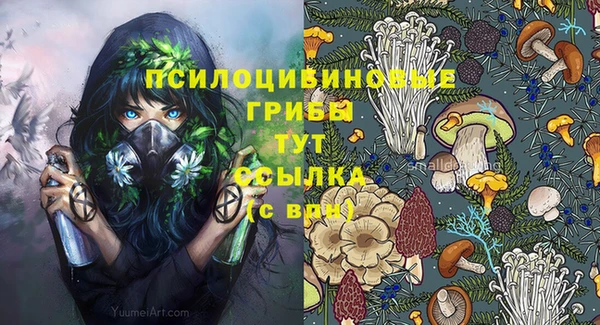 каннабис Богородицк